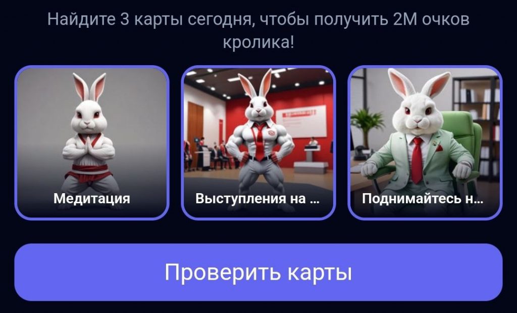 Комбо в Rocky Rabbit на 10.08.2024 г.