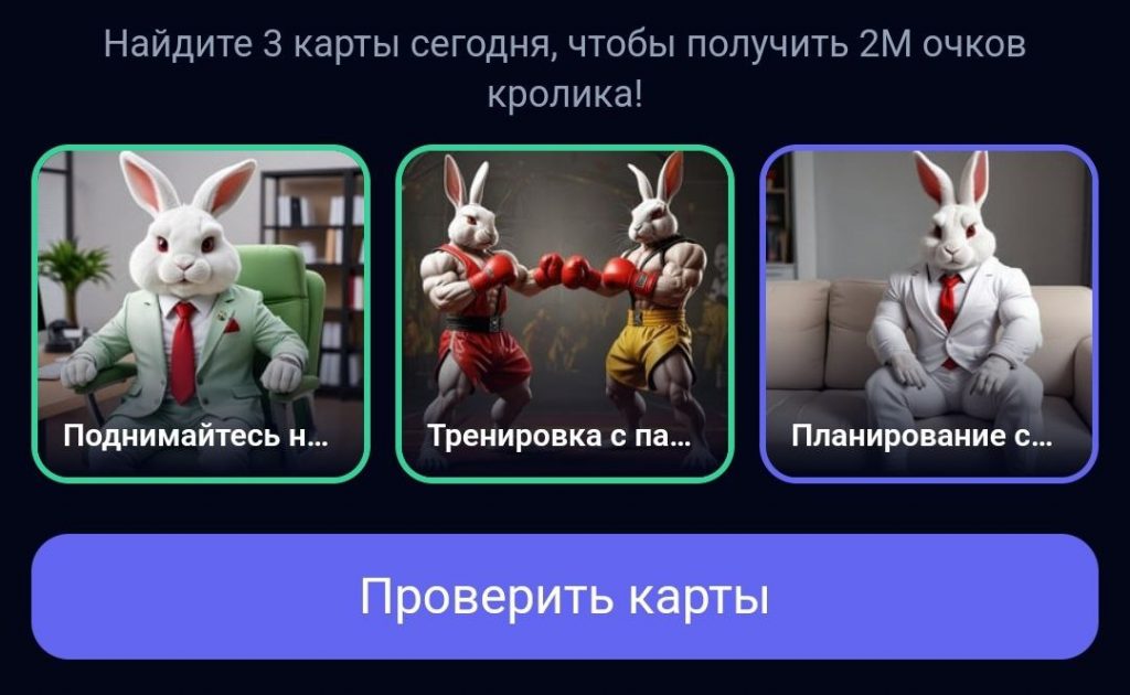 Комбо в Rocky Rabbit на 15.08.2024 г.