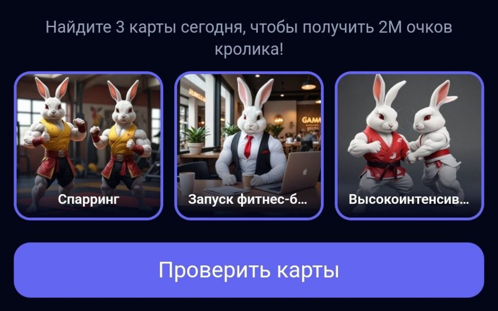 Комбо в Rocky Rabbit на 19.08.2024 г.