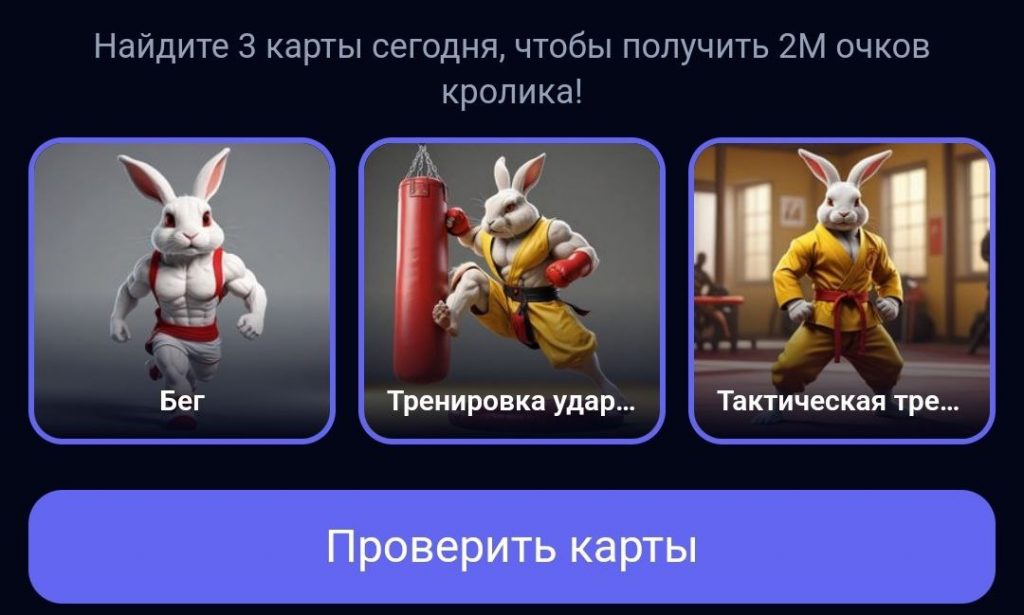 Комбо в Rocky Rabbit на 20.08.2024 г.