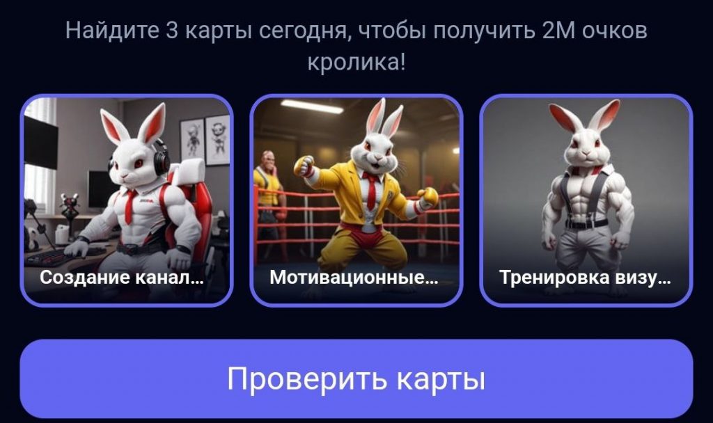 Комбо в Rocky Rabbit на 22.08.2024 г.