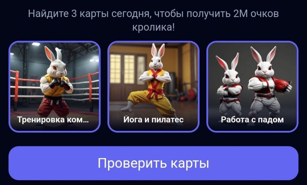 Комбо в Rocky Rabbit на 24.08.2024 г.