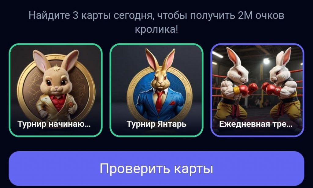 Комбо в Rocky Rabbit на 28.08.2024 г.