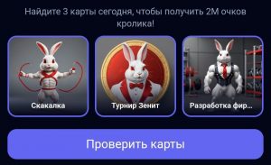 Комбо в Rocky Rabbit на 29.08.2024 г.