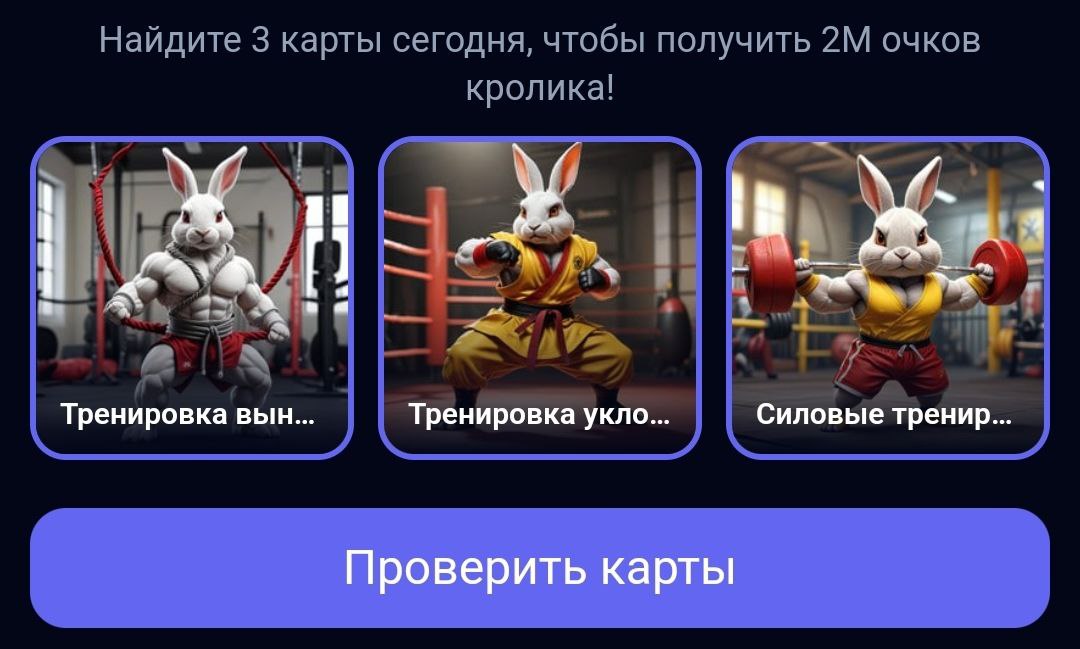 Комбо в Rocky Rabbit на 30.08.2024 г.