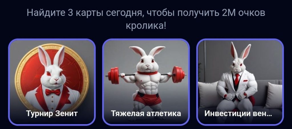 Комбо в Rocky Rabbit на 10.09.2024 г.