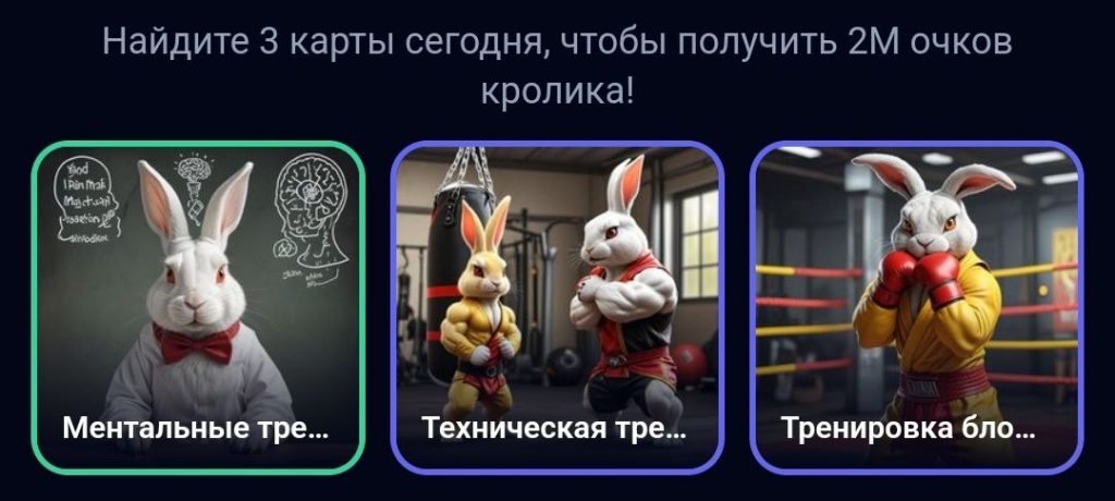 Комбо в Rocky Rabbit на 11.09.2024 г.