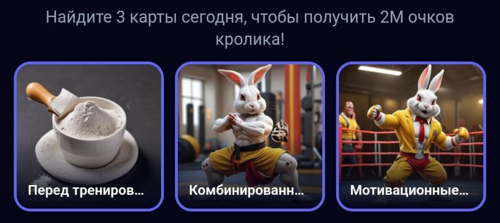 Комбо в Rocky Rabbit на 13.09.2024 г.