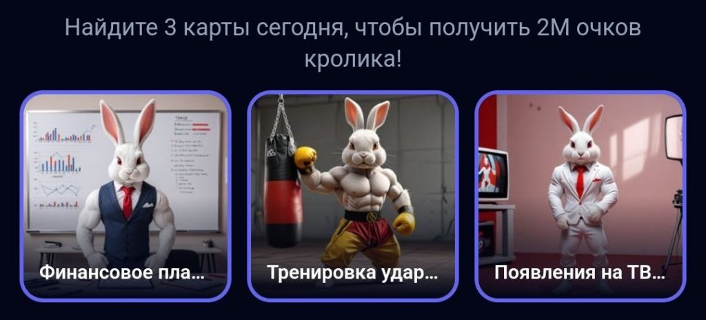 Комбо в Rocky Rabbit на 14.09.2024 г.