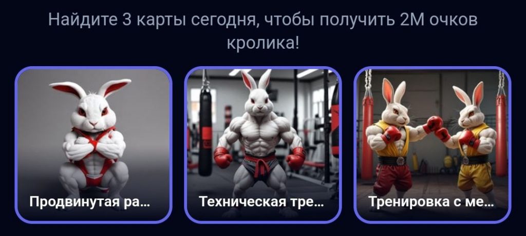 Комбо в Rocky Rabbit на 15.09.2024 г.