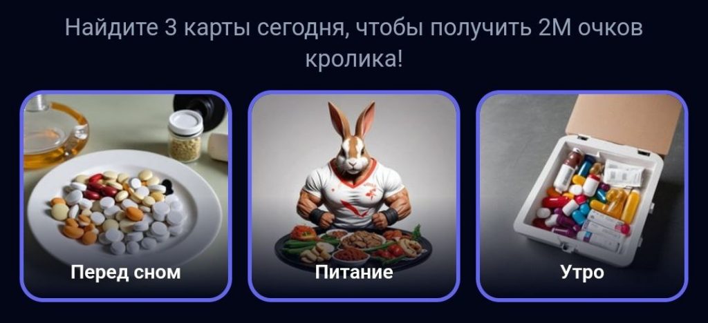 Комбо в Rocky Rabbit на 17.09.2024 г.