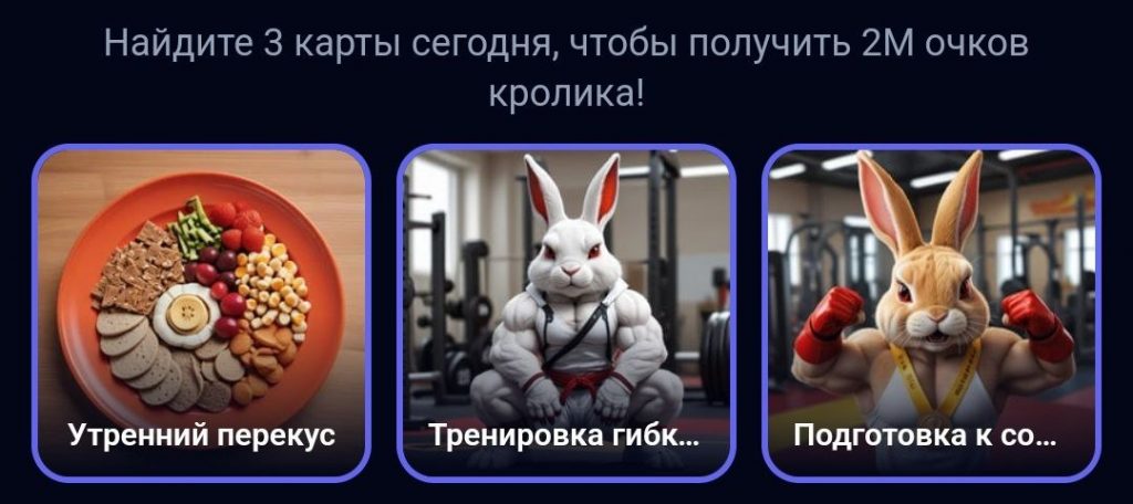 Комбо в Rocky Rabbit на 18.09.2024 г.