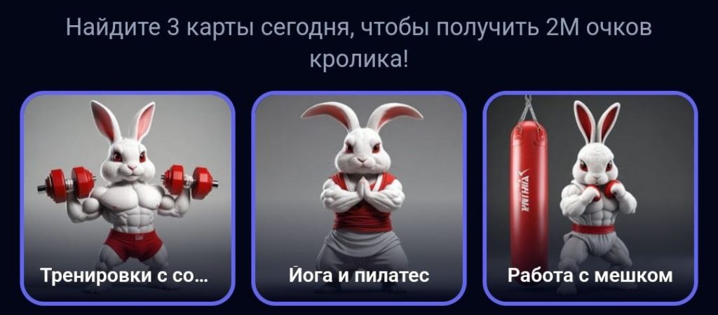 Комбо в Rocky Rabbit на 19.09.2024 г.