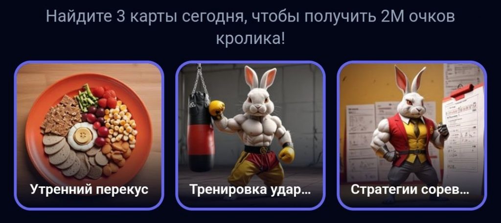 Комбо в Rocky Rabbit на 20.09.2024 г.