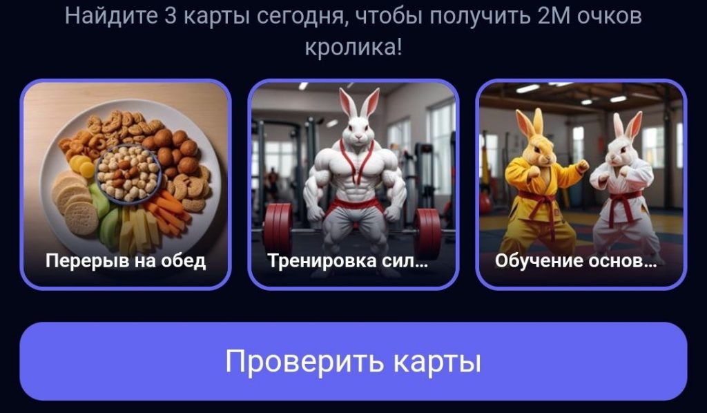 Комбо в Rocky Rabbit на 03.09.2024 г.