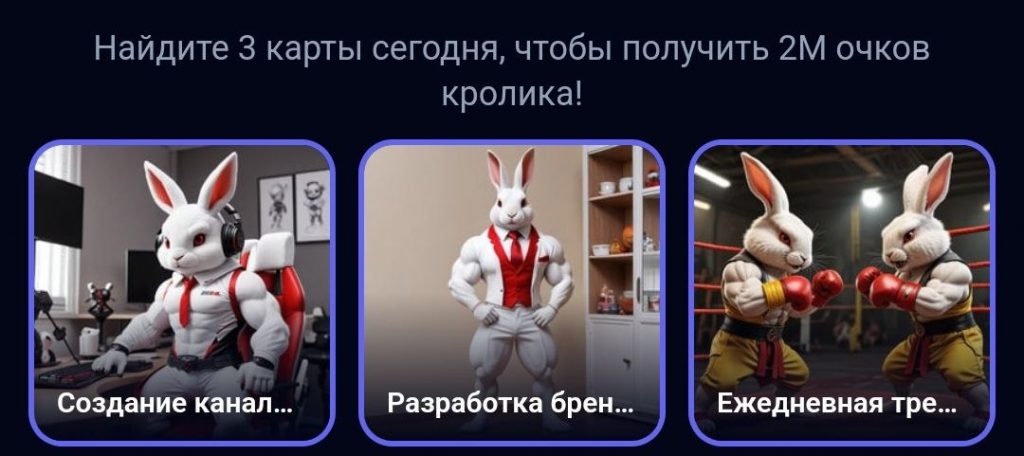 Комбо в Rocky Rabbit на 6.09.2024 г.