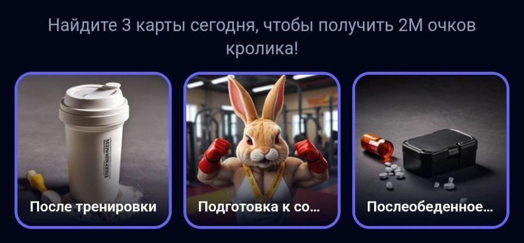 Комбо в Rocky Rabbit на 8.09.2024 г.