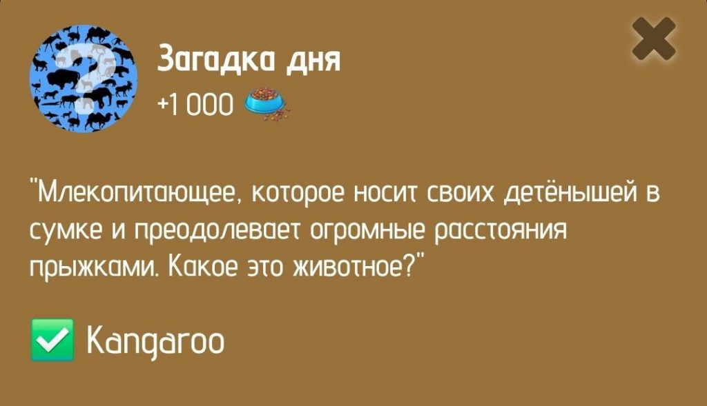 Загадка дня в ZOO от 27 декабря 2024 г.