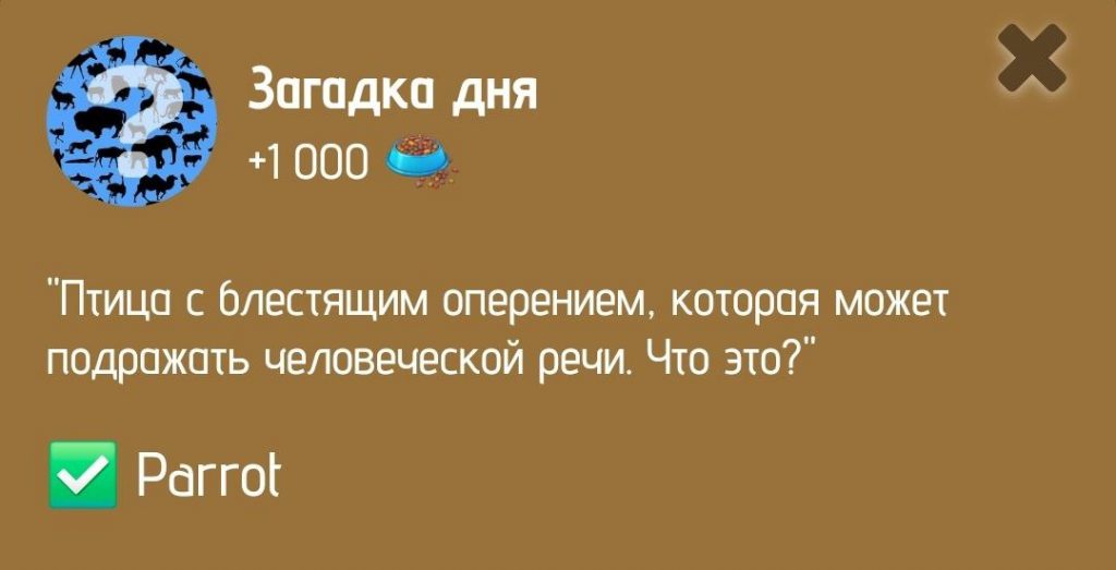 Загадка дня в ZOO от 29 декабря 2024 г.