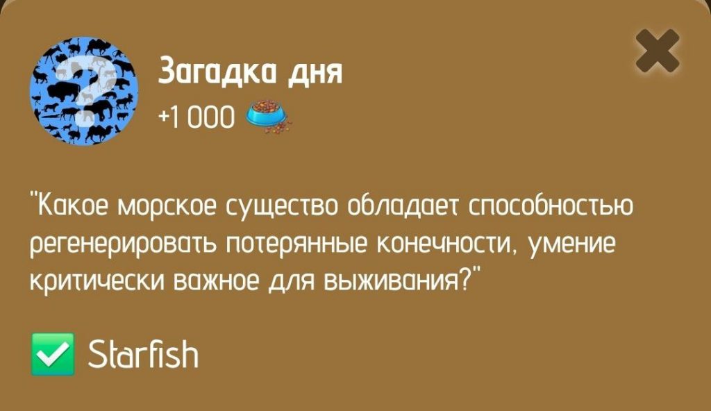 Загадка дня в ZOO от 10 января 2025 г.