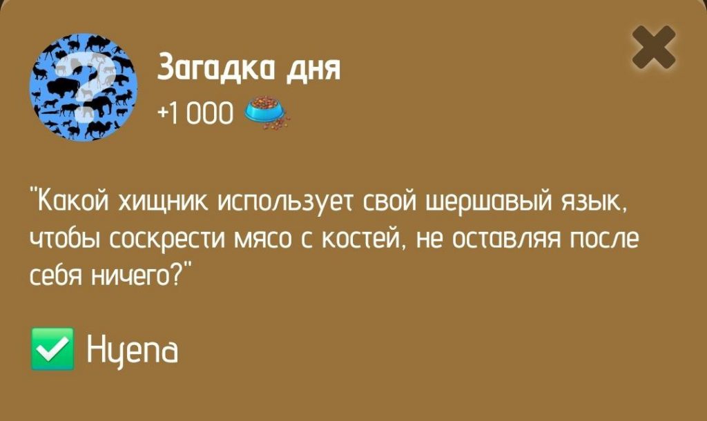 Загадка дня в ZOO от 11 января 2025 г.