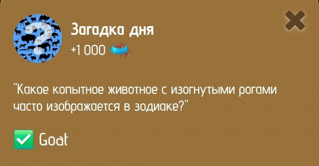 Загадка дня в ZOO от 12 января 2025 г.