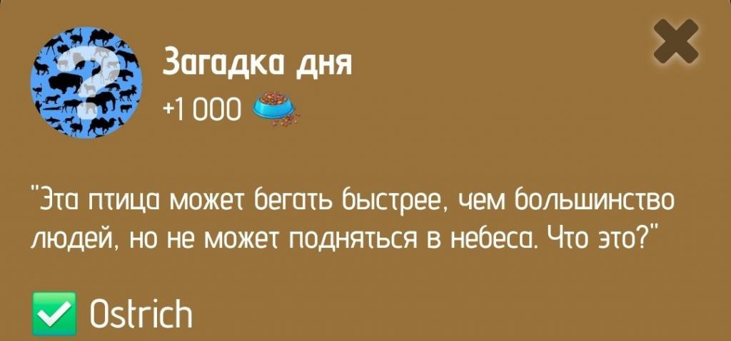 Загадка дня в ZOO от 13 января 2025 г.