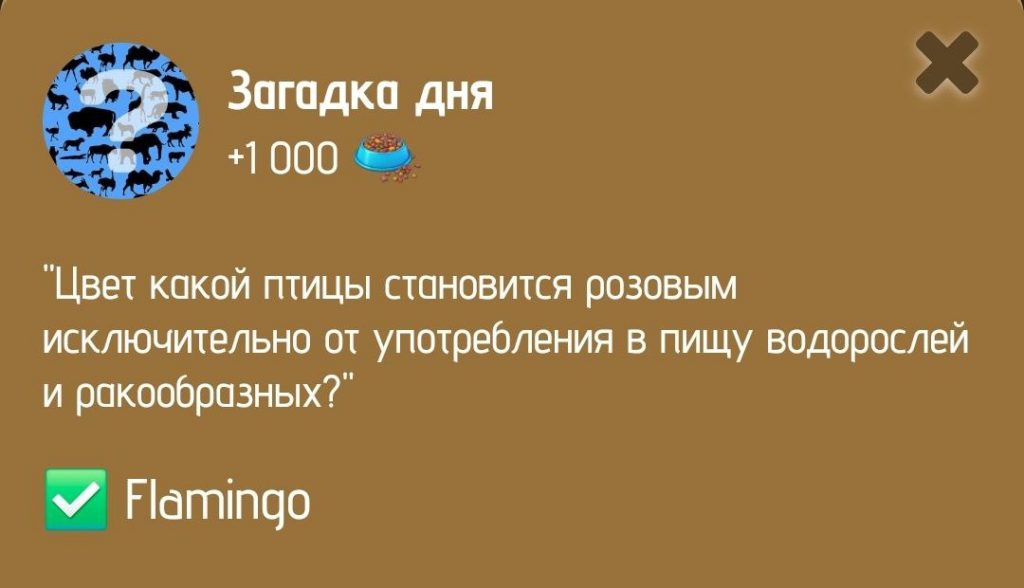 Загадка дня в ZOO от 14 января 2025 г.