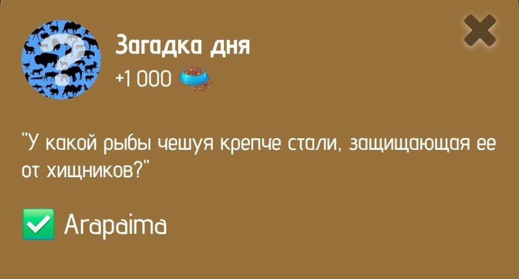 Загадка дня в ZOO от 20 января 2025 г.