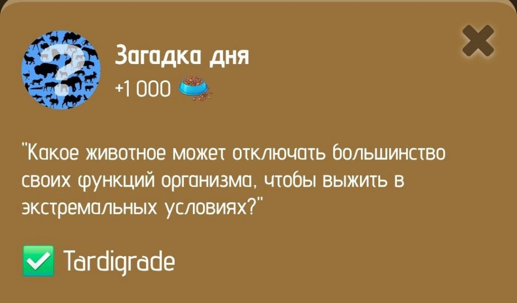 Загадка дня в ZOO от 28 января 2025 г.