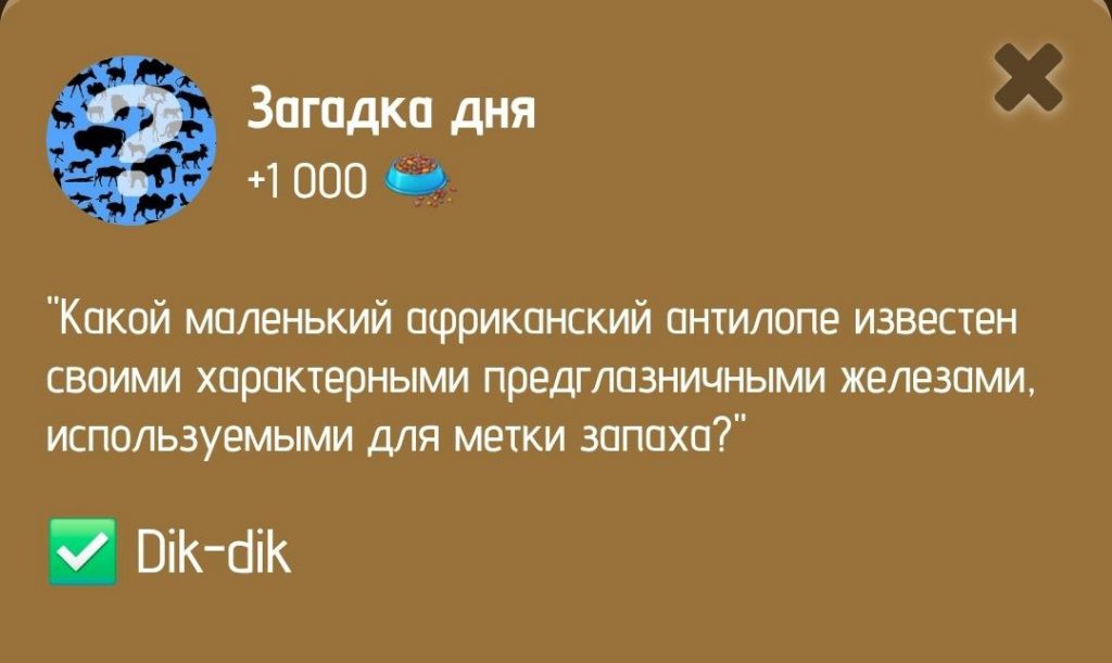 Загадка дня в ZOO от 29 января 2025 г.