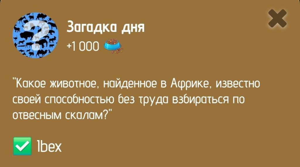 Загадка дня в ZOO от 5 января 2025 г.