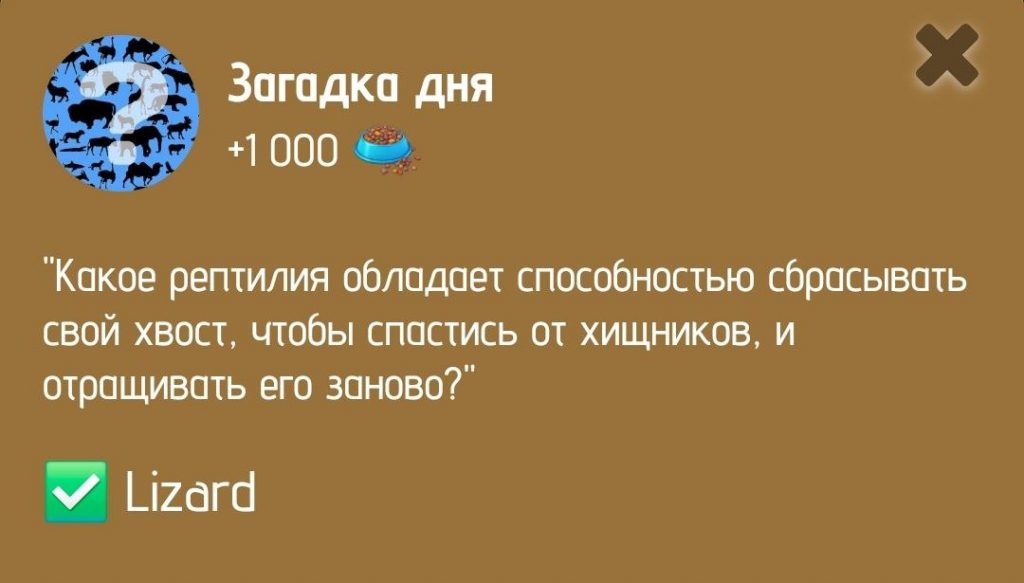 Загадка дня в ZOO от 7 января 2025 г.