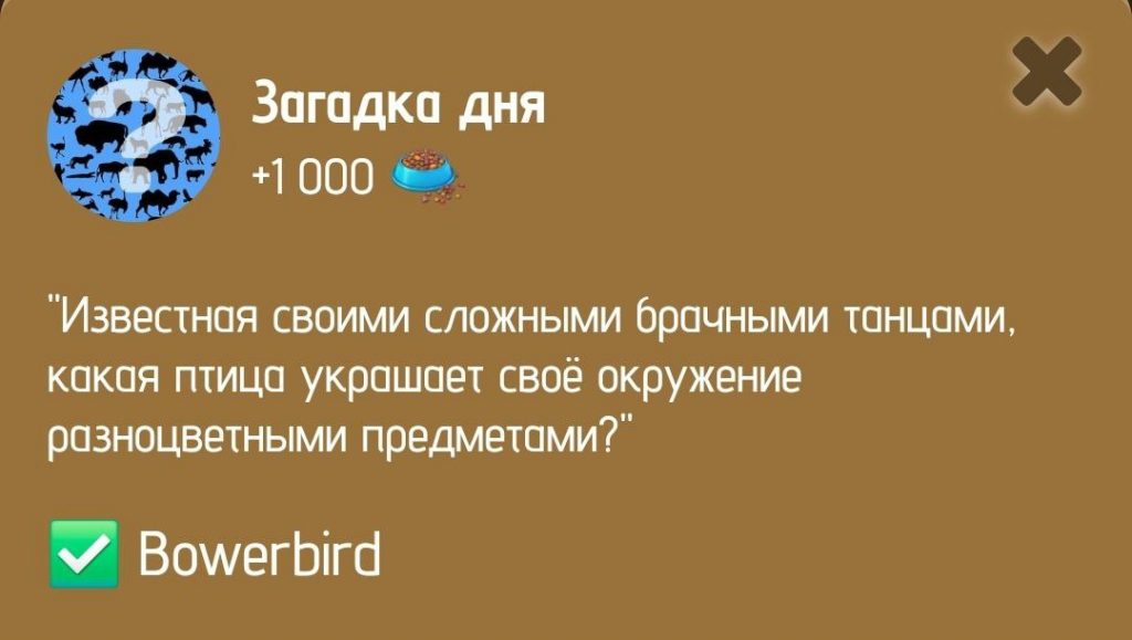 Загадка дня в ZOO от 8 января 2025 г.