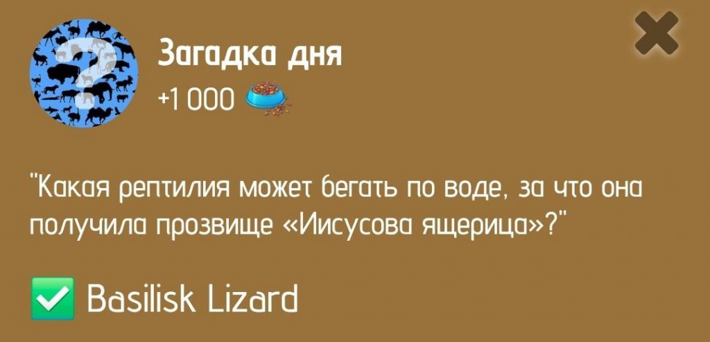 Загадка дня в ZOO от 9 января 2025 г.